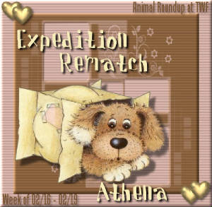 expedition-athena0219.jpg