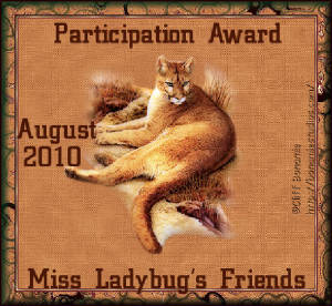 participation.jpg