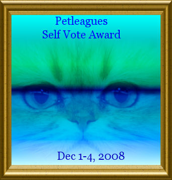 selfvoteaward.jpg