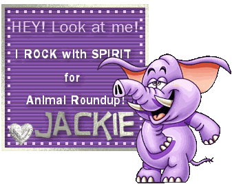 rock-jackie.gif